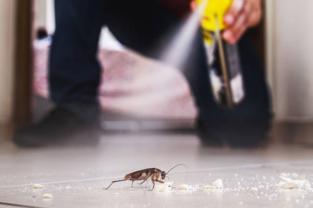 Best Pest Control Near Me in Coupeville, WA