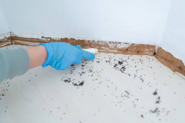 Best Pest Prevention Services  in Coupeville, WA